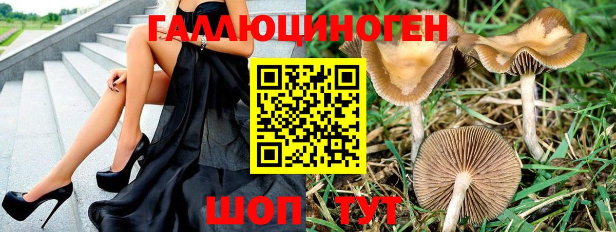 купить   Вход с VPN  Дивногорск  Псилоцибиновые грибы мицелий 